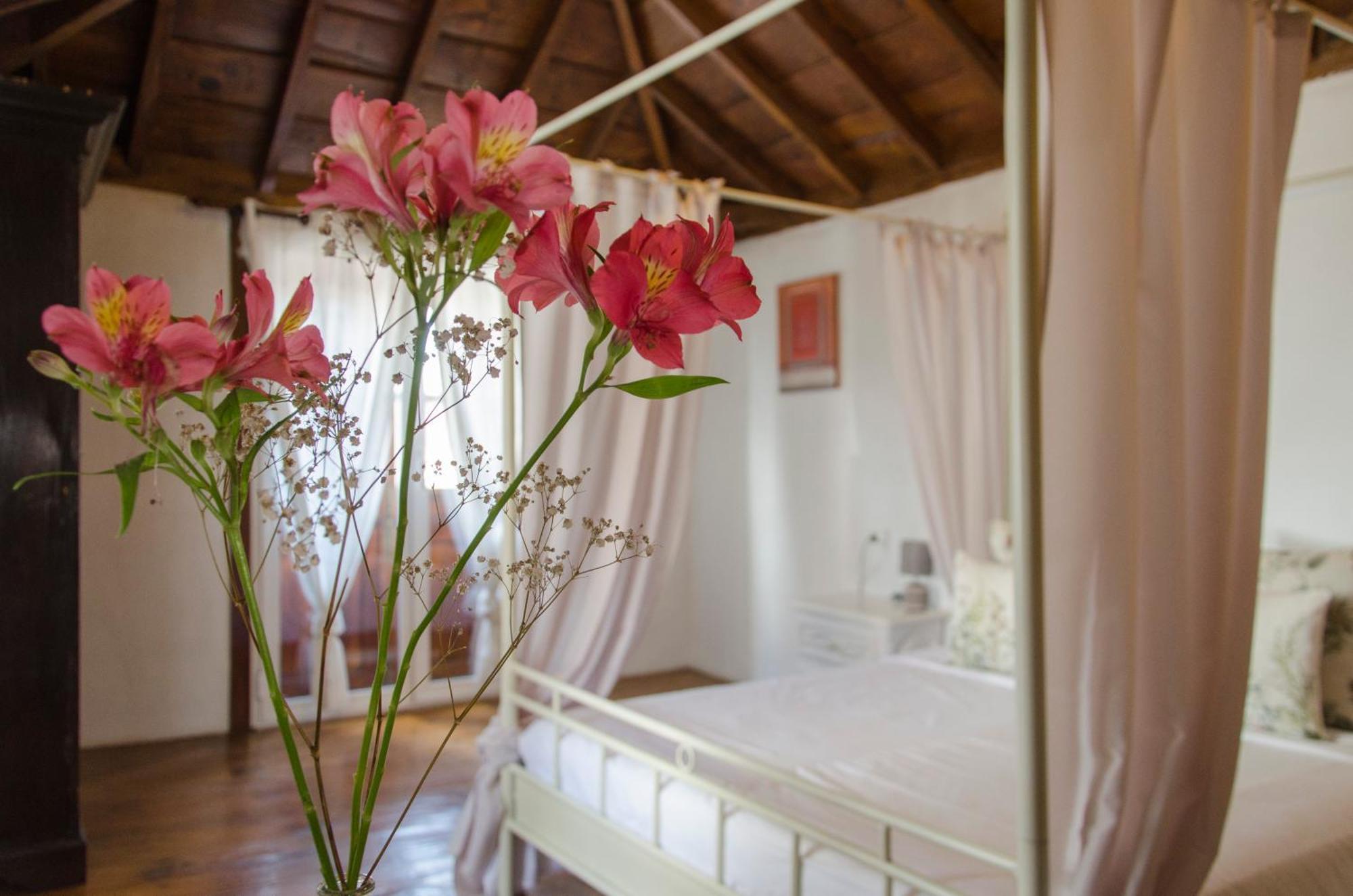 Hotel Rural Casona Santo Domingo Güimar Zewnętrze zdjęcie